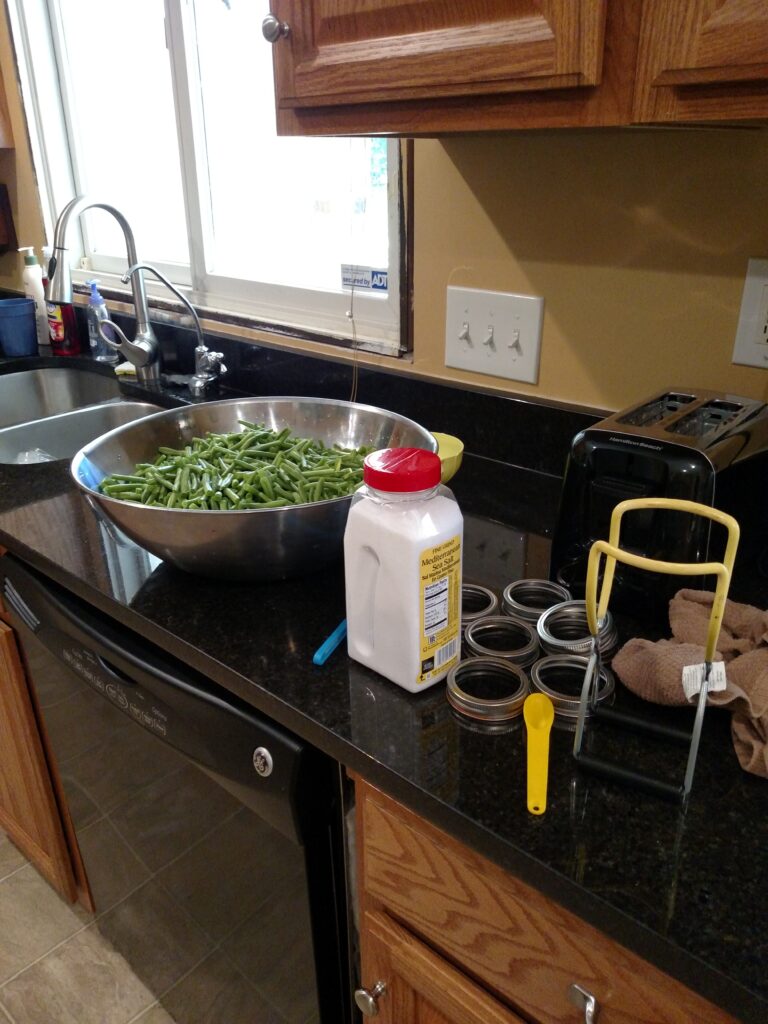 large bowl of green beans and canning supplies laid out on counter