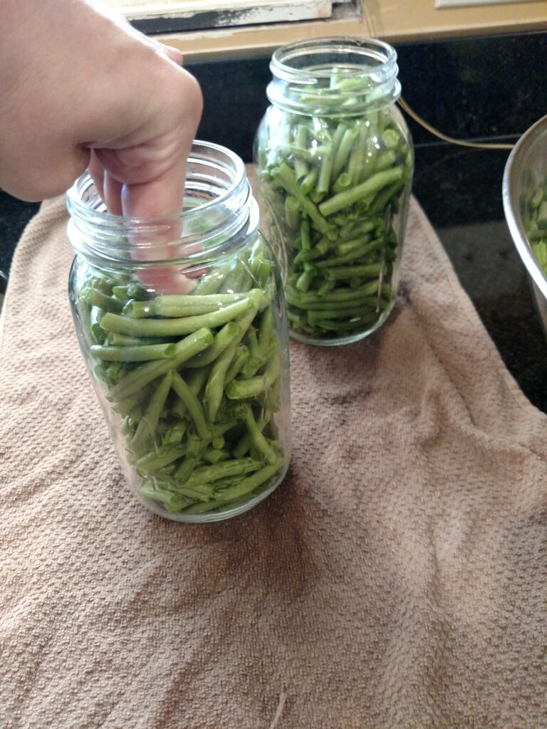 hand packing green beans into jars
