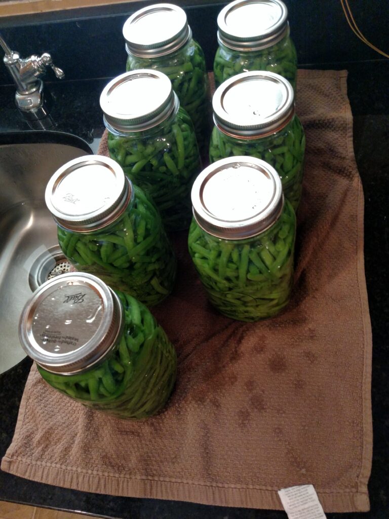 7 jars ready for the canner