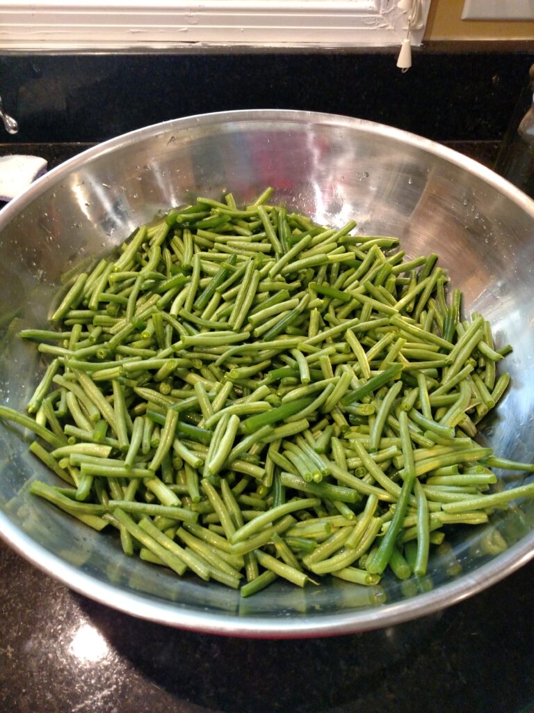 large bowl of green beans