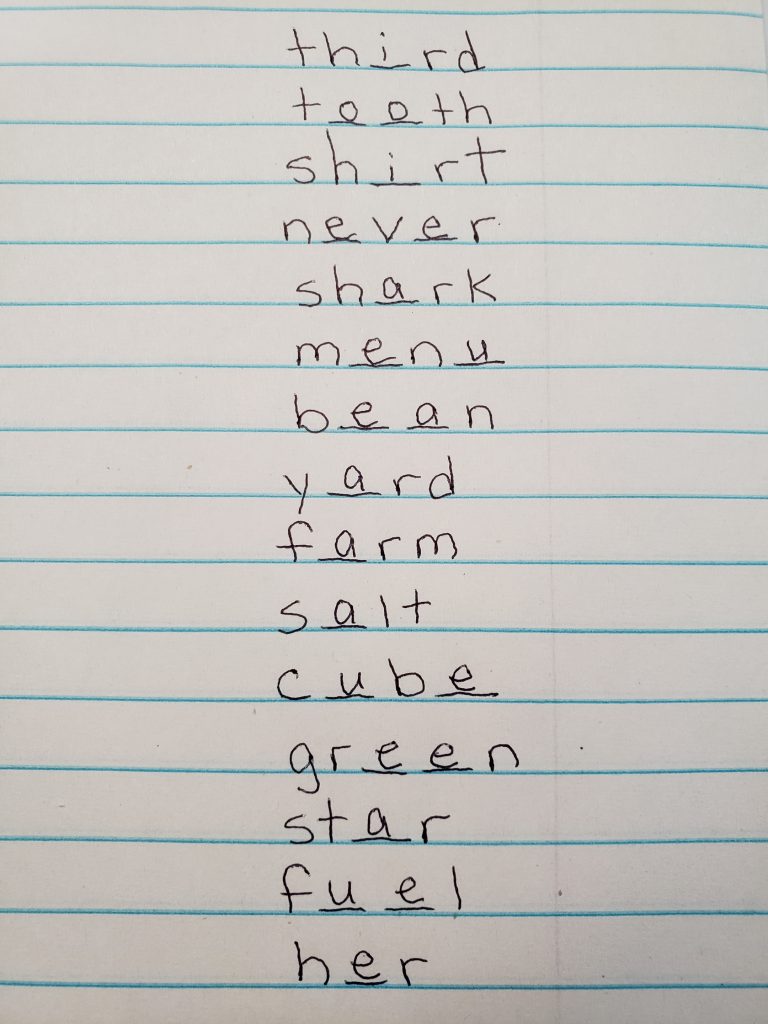 spelling words written with their vowels filled in the blanks