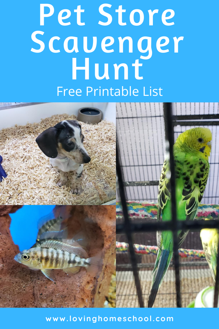 Pet Store Scavenger Hunt