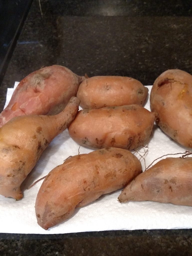 sweet potatoes cooling on paper towel