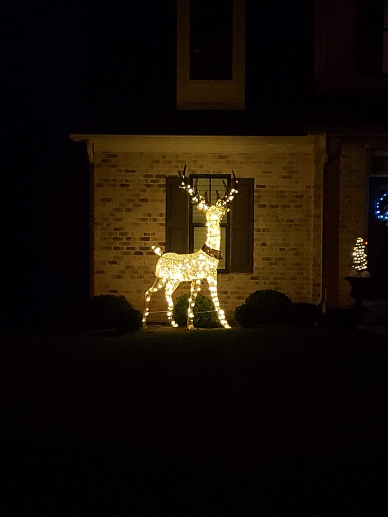 Christmas Lights reindeer