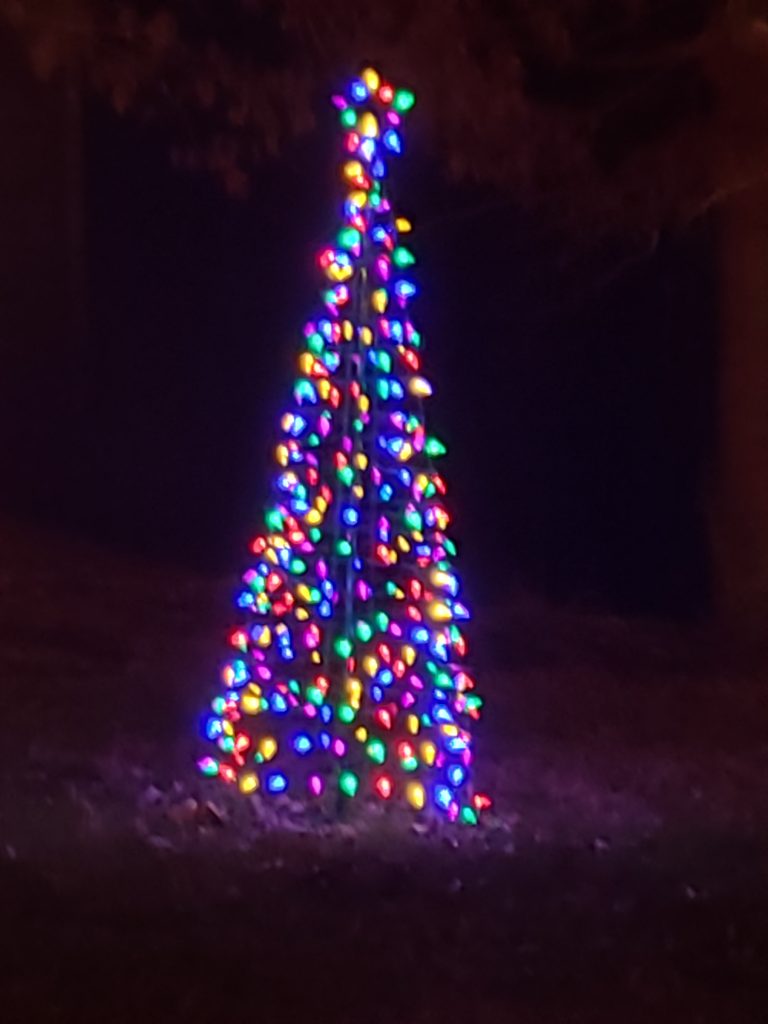 Christmas Lights on tree