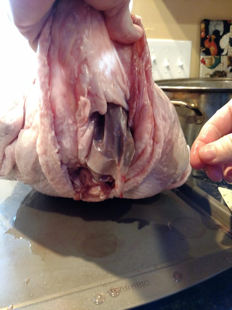 showing where giblet bag is inside of turkey