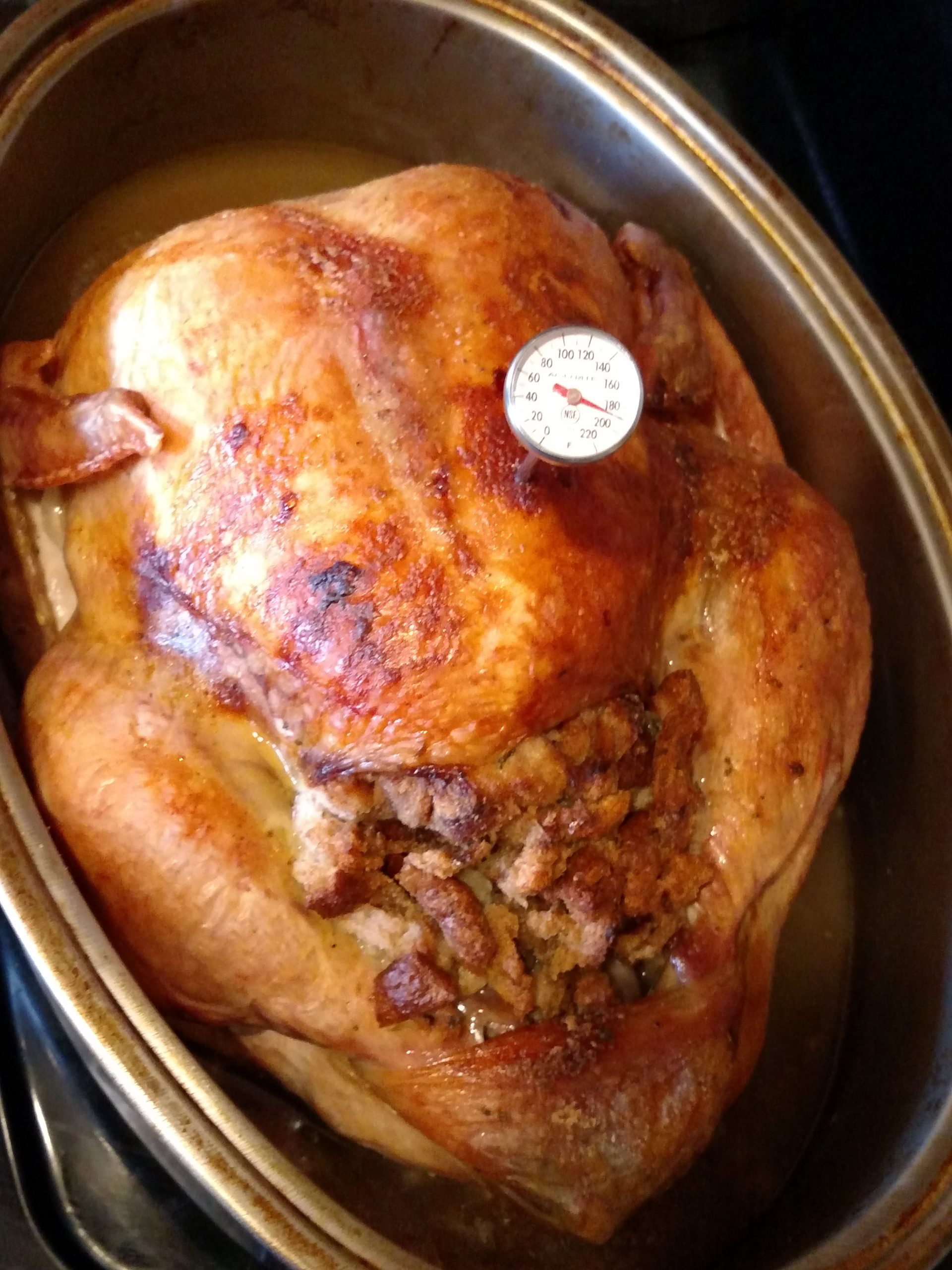 Beautiful cooked turkey in pan