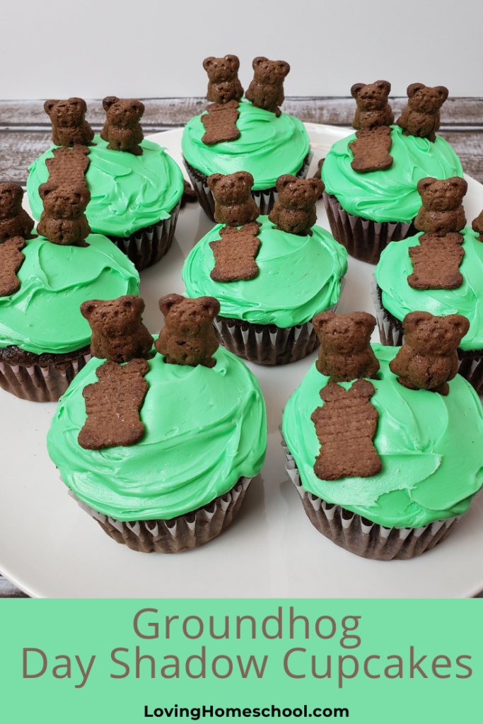 Groundhog Day Shadow Cupcakes Pinterest Pin