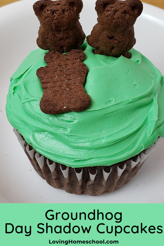 Groundhog Day Shadow Cupcakes Pinterest Pin