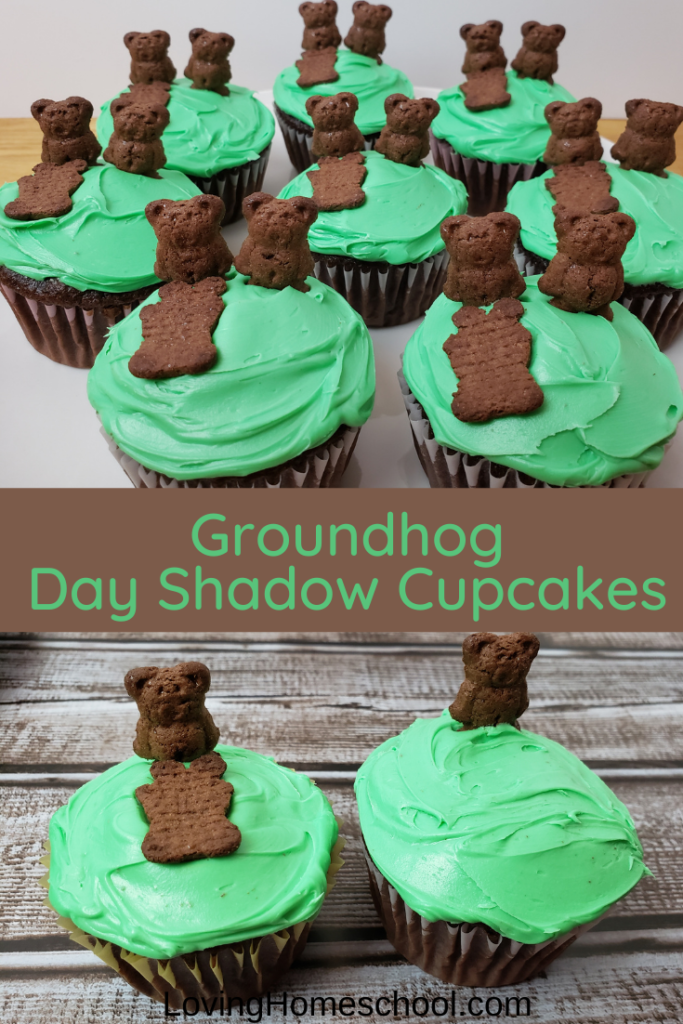 Groundhog Day Shadow Cupcakes Pinterest Pin