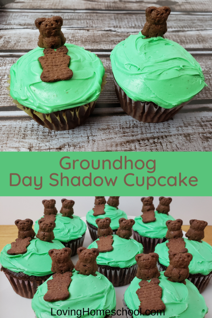 Groundhog Day Shadow Cupcakes Pinterest Pin