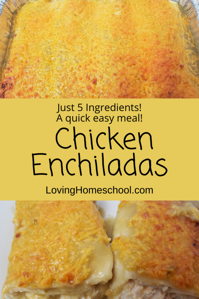 Quick Easy Chicken Enchiladas Pinterest Pin