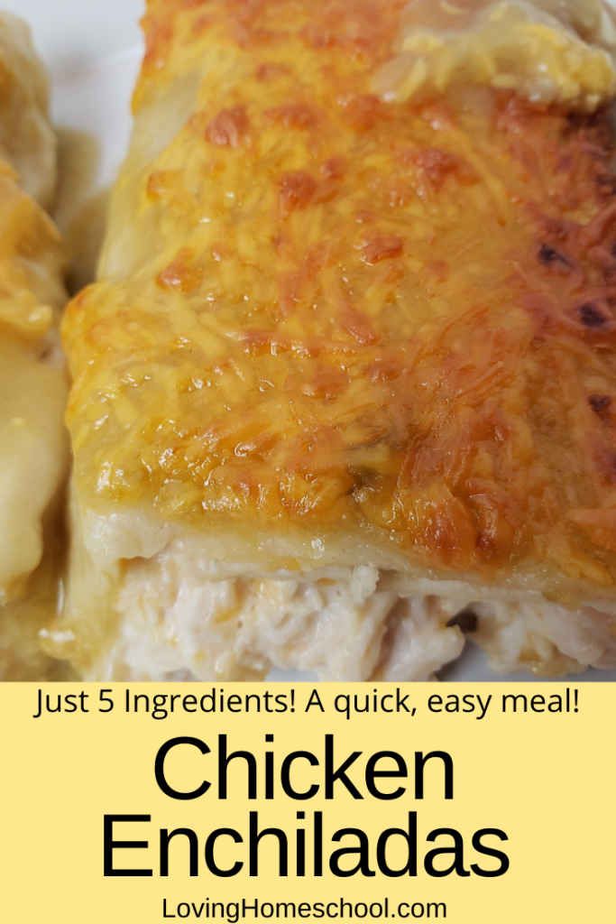 Quick Easy Chicken Enchiladas Pinterest Pin