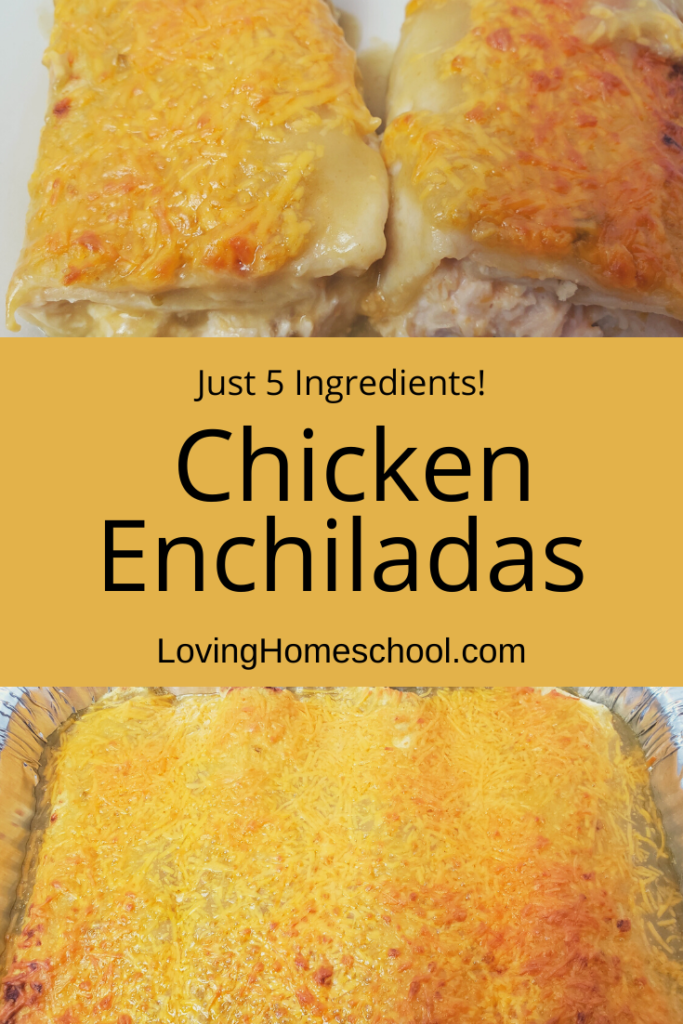 Quick Easy Chicken Enchiladas Pinterest Pin