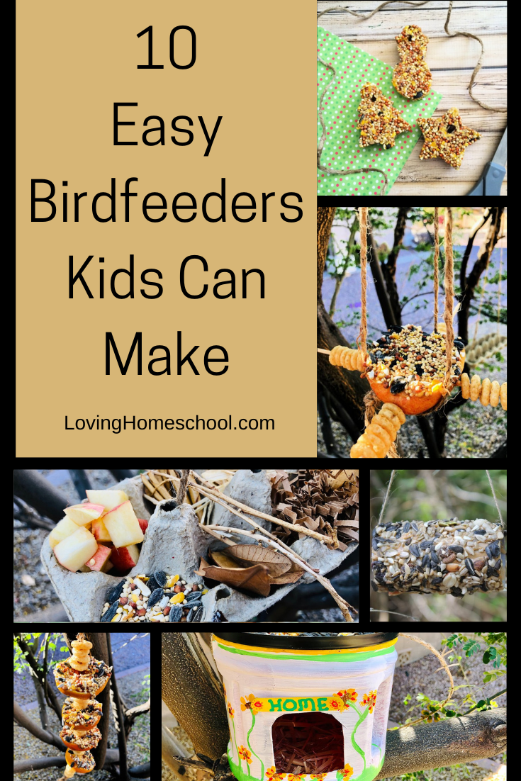 10 Easy Birdfeeders Kids Can Make Pinterest Pin