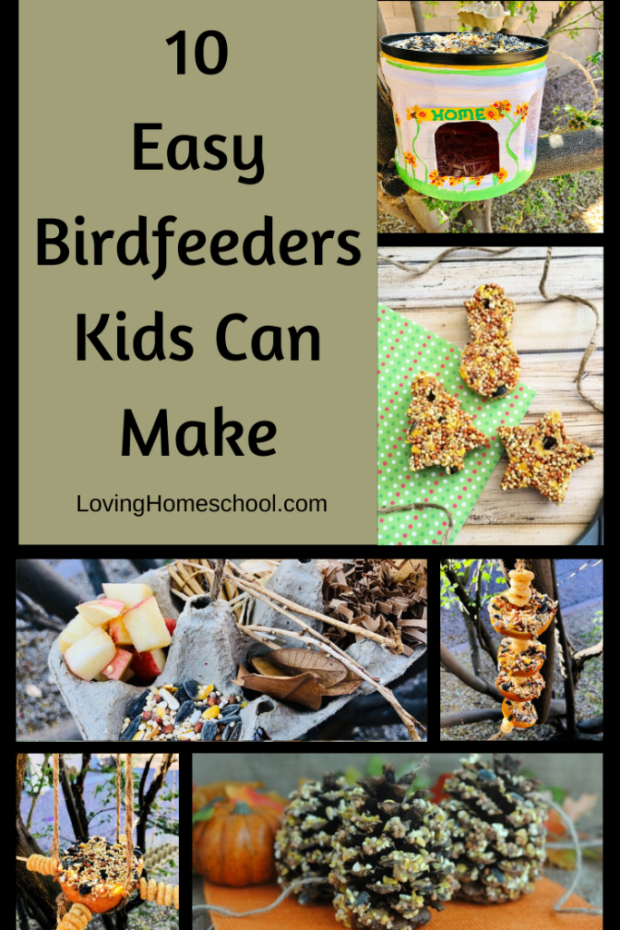 10 Easy Birdfeeders Kids Can Make Pinterest Pin