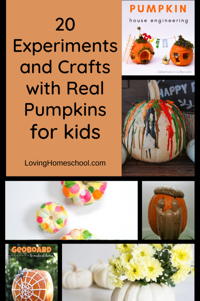 20 Experiments and Crafts with Real Pumpkins Pinterest Pin