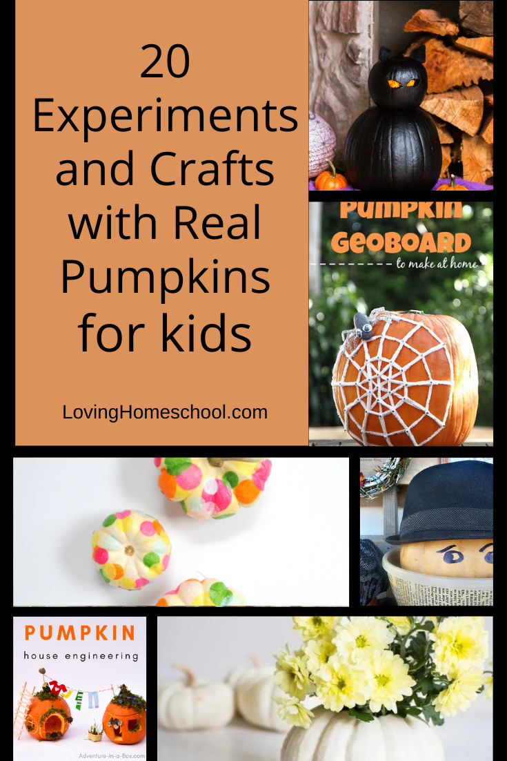 20 Experiments and Crafts with Real Pumpkins Pinterest Pin