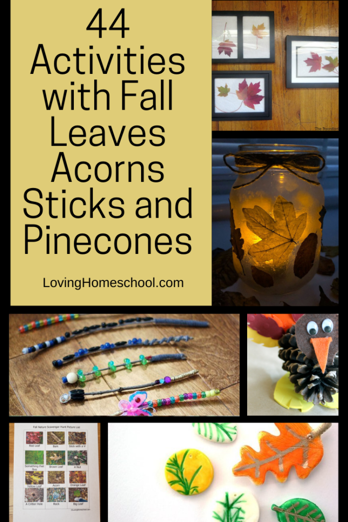 Activities with Fall Leaves Acorns Sticks and Pinecones Pinterest Pin