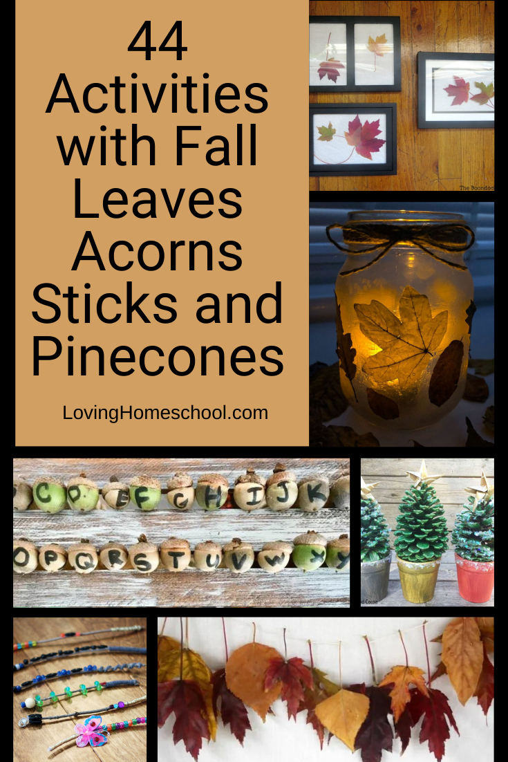 Activities with Fall Leaves Acorns Sticks and Pinecones Pinterest Pin