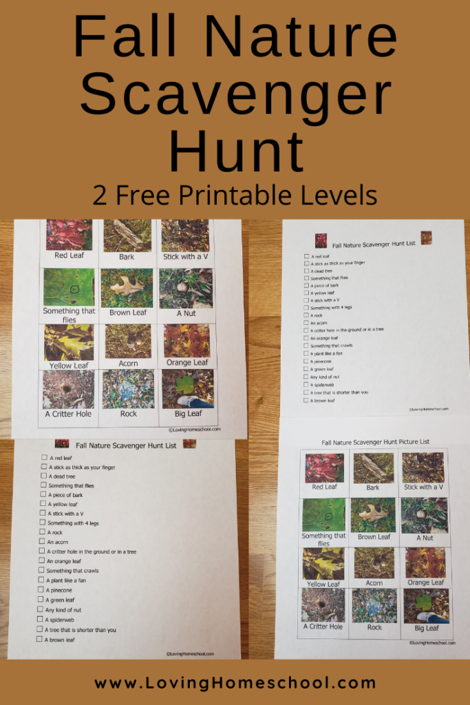 Fall Nature Scavenger Hunt Pinterest Pin