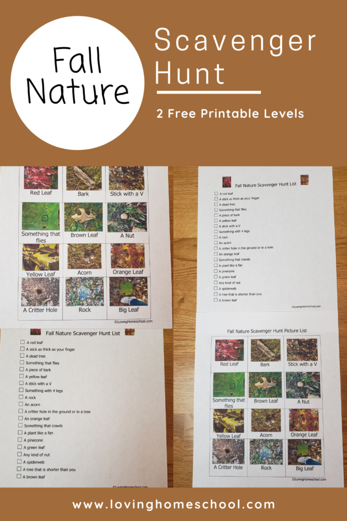 Fall Nature Scavenger Hunt Pinterest Pin