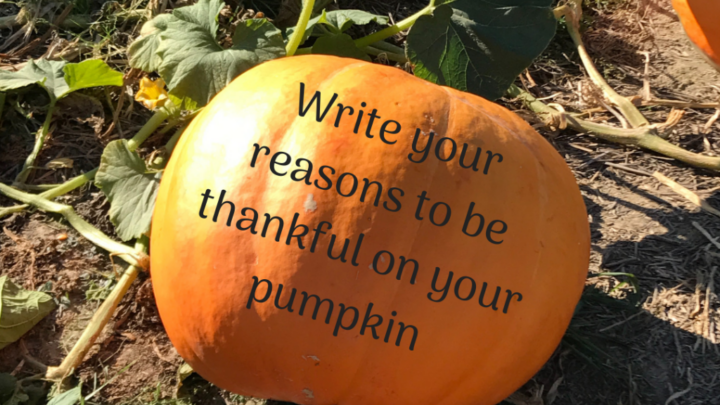 Image for Thanksgiving Pumpkin Craft