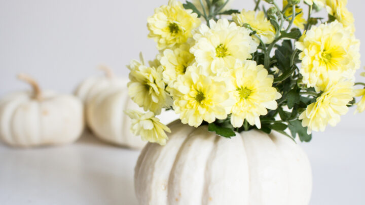 Image for Fall Decor Idea: A DIY Mini Pumpkin Floral Vase
