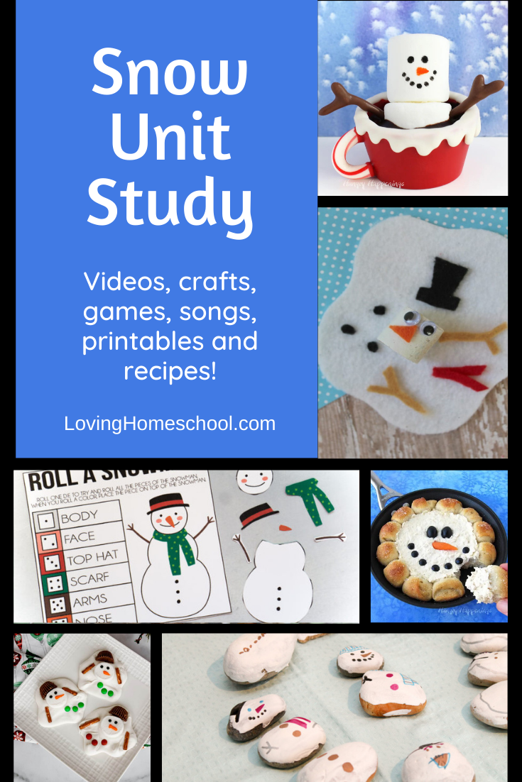 Snow Unit Study Pinterest pin