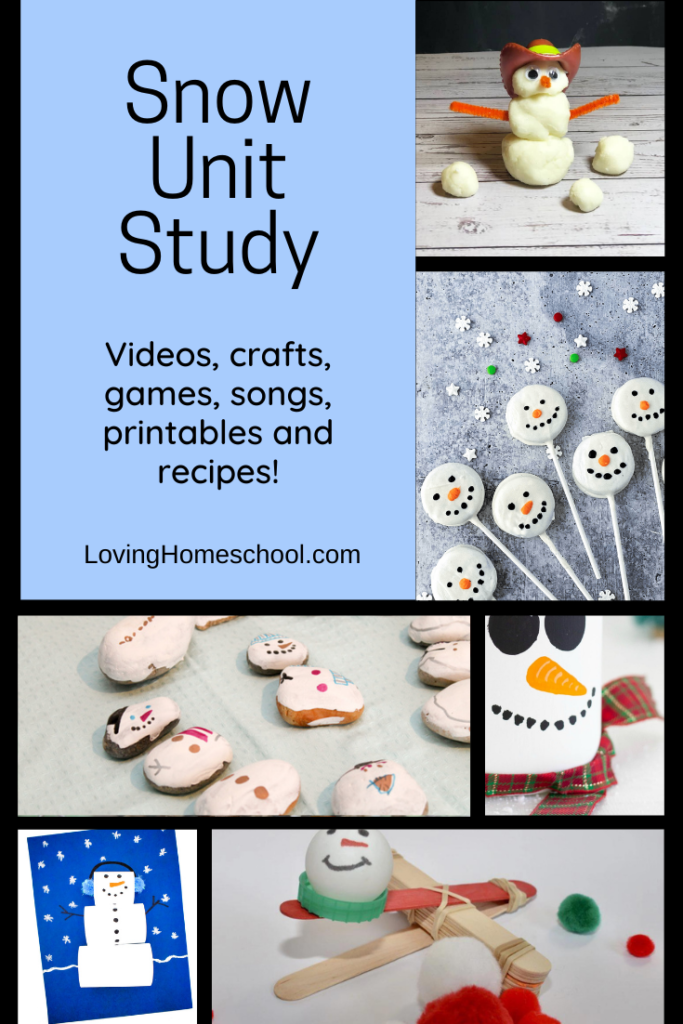 Snow Unit Study Pinterest pin