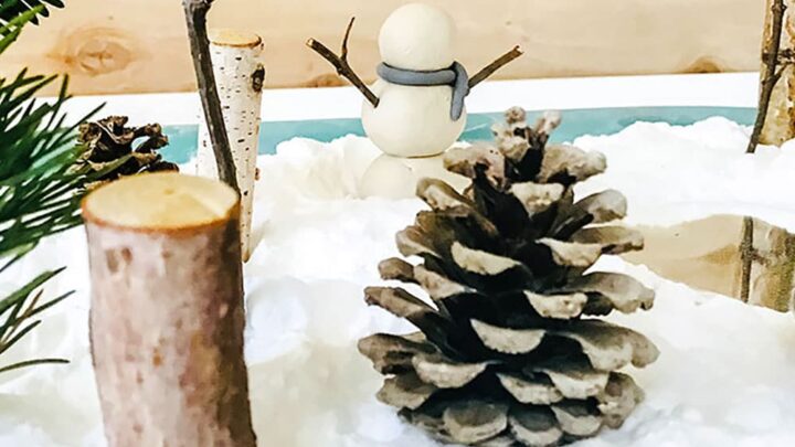 Image for Make: A Mini Winter Sensory Garden for Kids