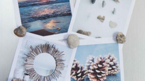 Image for DIY Earthy Rock and Fossil Fridge Magnets