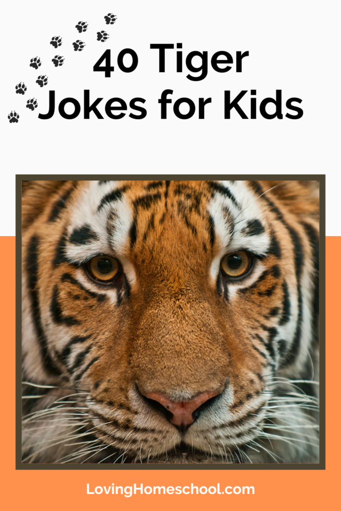 40 Tiger Jokes for Kids Pinterest Pin