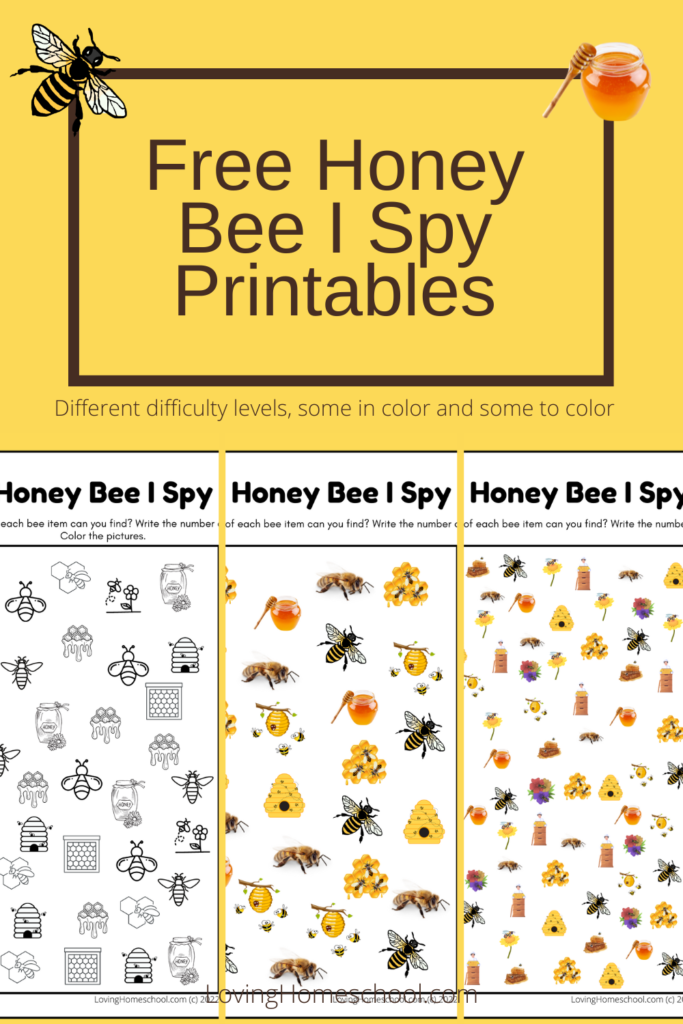 Honey Bee I Spy Printables Pinterest pin