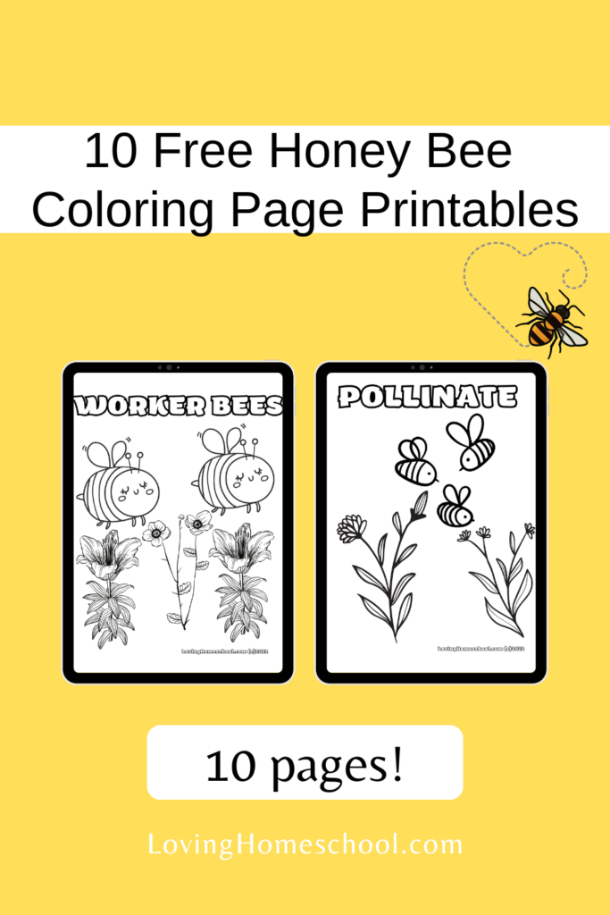 10 Honey Bee Coloring Page Printables Pinterest Pin