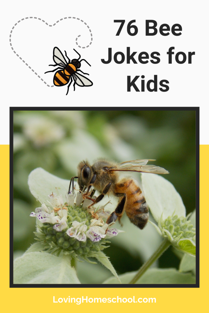 76 Bee Jokes for Kids Pinterest Pin