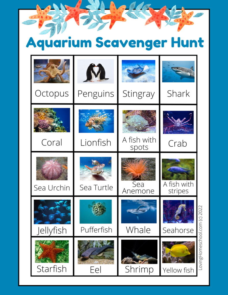 Aquarium Scavenger Hunt