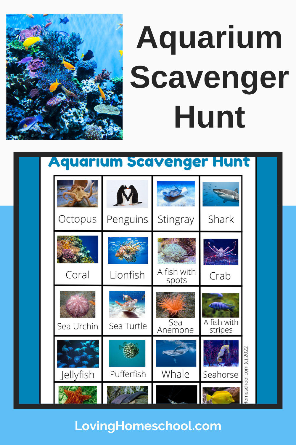 Aquarium Scavenger Hunt Pinterest Pin
