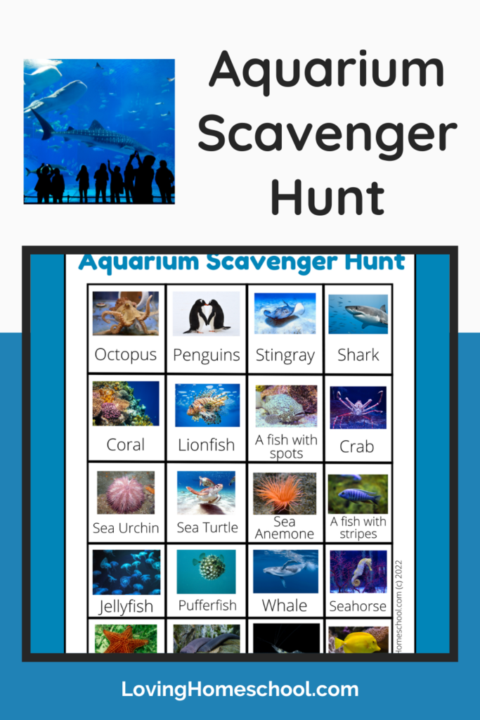 Aquarium Scavenger Hunt Pinterest Pin