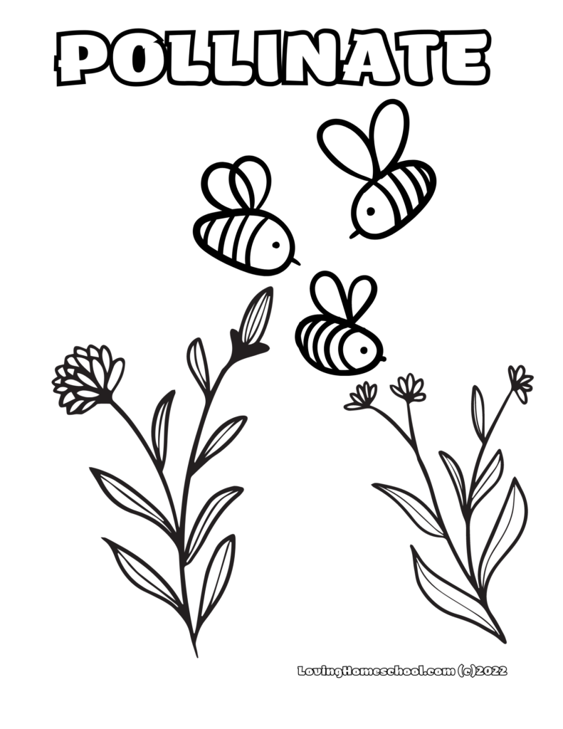 coloring page with bees, flowers and word pollinate