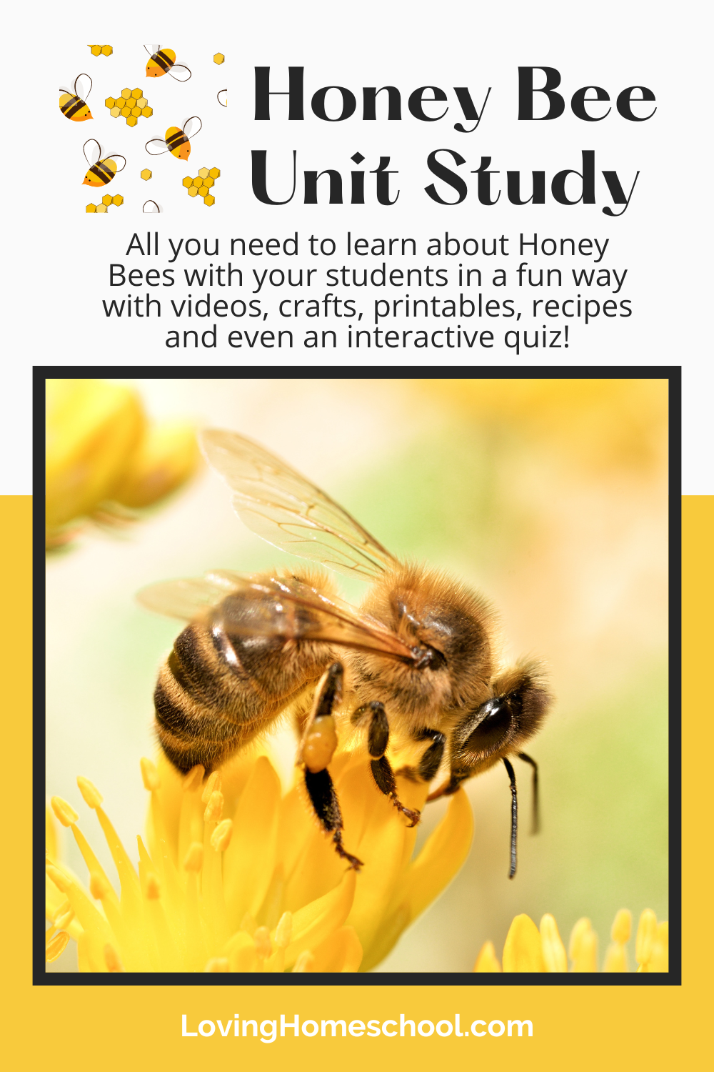 https://lovinghomeschool.com/wp-content/uploads/2022/08/Honey-Bee-Unit-Study-Pinterest-Pin.png