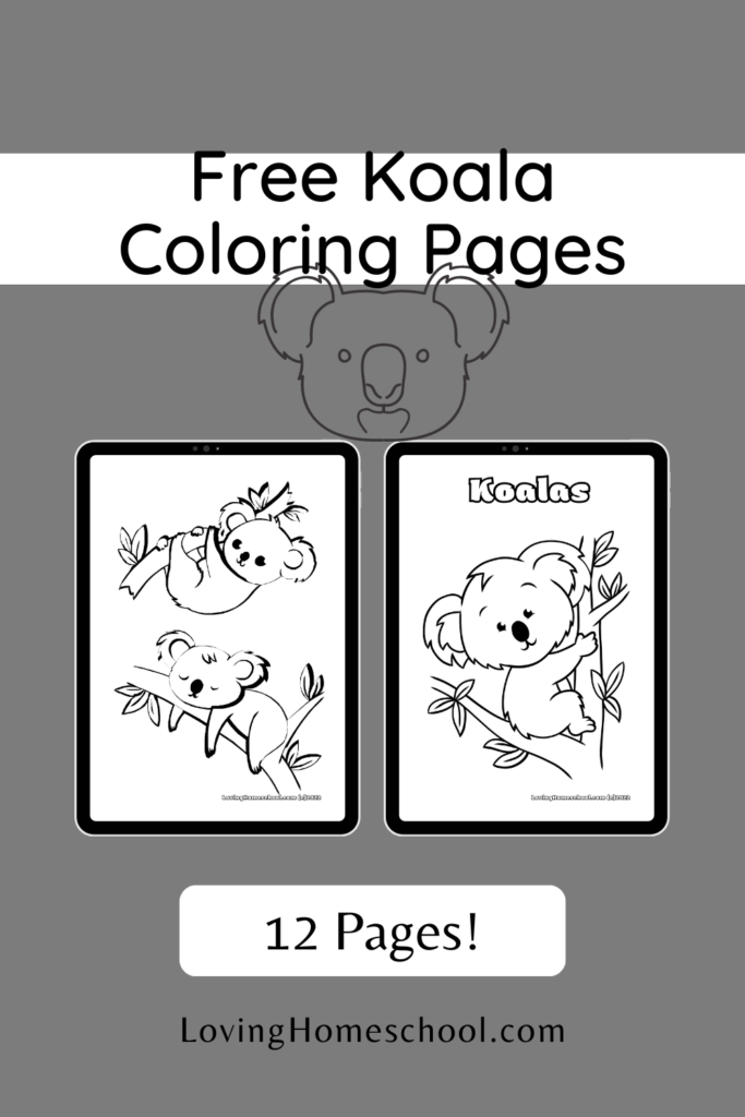 Koala Coloring Pages Pinterest Pin