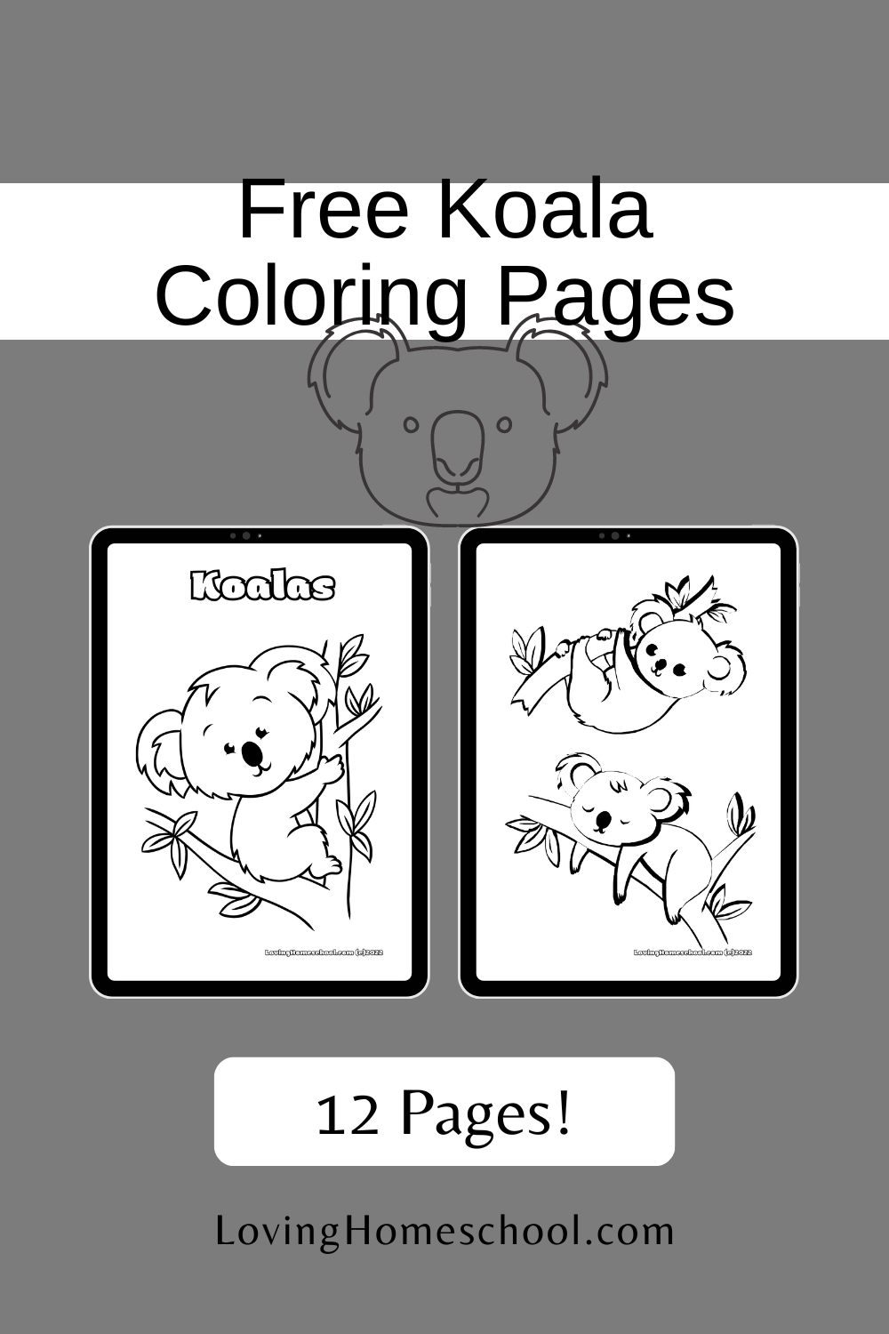 Koala Coloring Pages Pinterest Pin