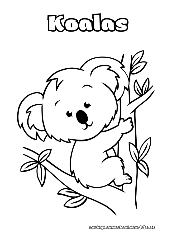 Koala Coloring Page