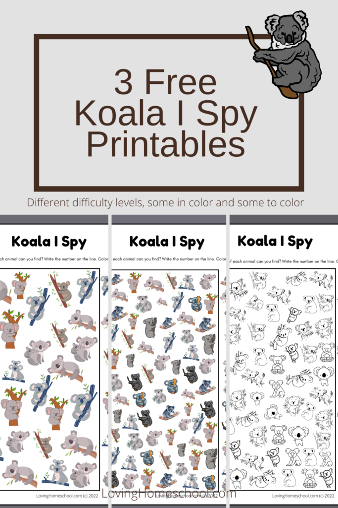 Koala I Spy Printables Pinterest Pin