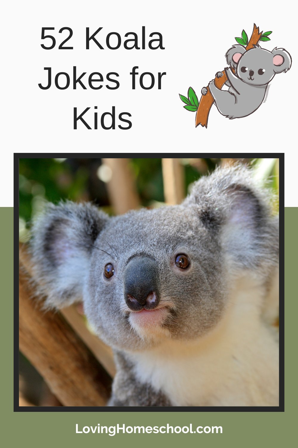 Koala Jokes for Kids Pinterest Pin