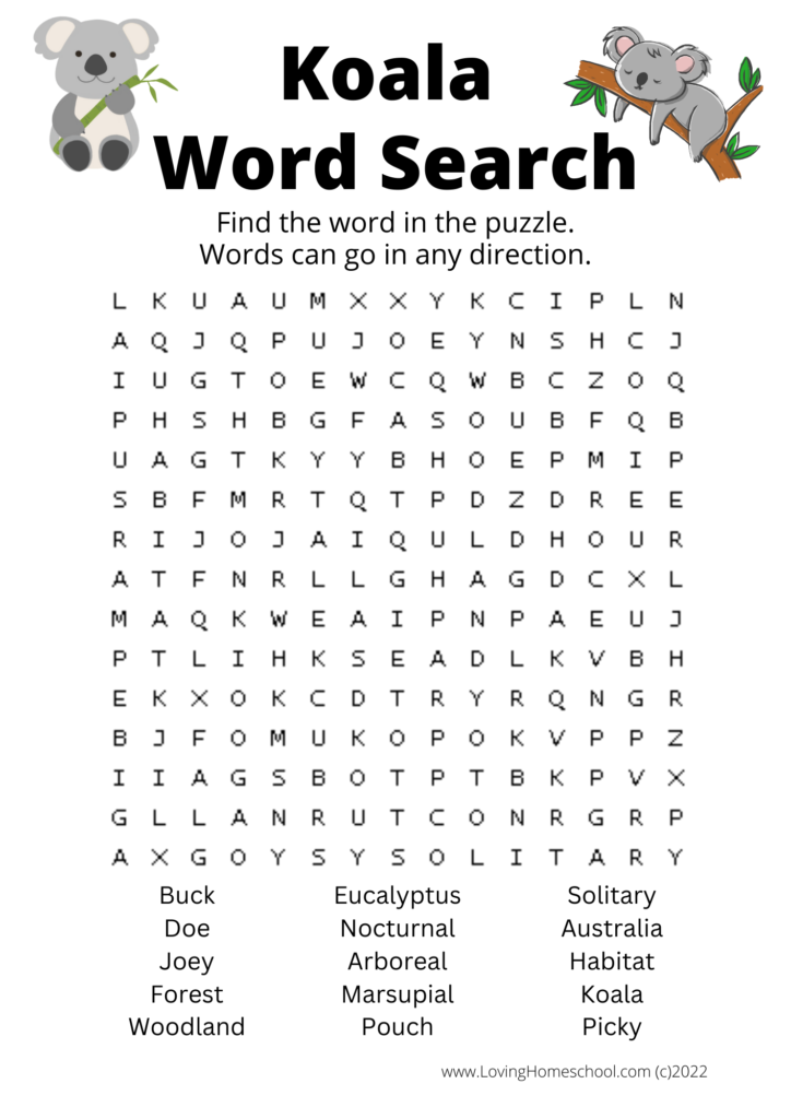 Koala Word Search for older kids