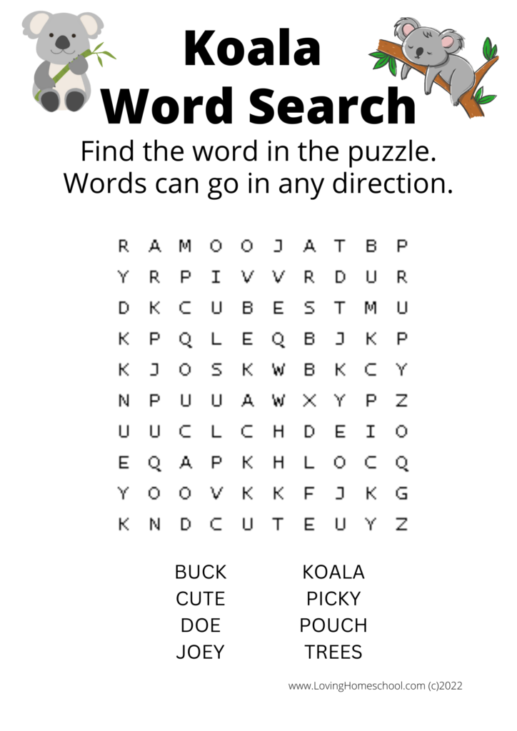 Koala Word Search for younger kids