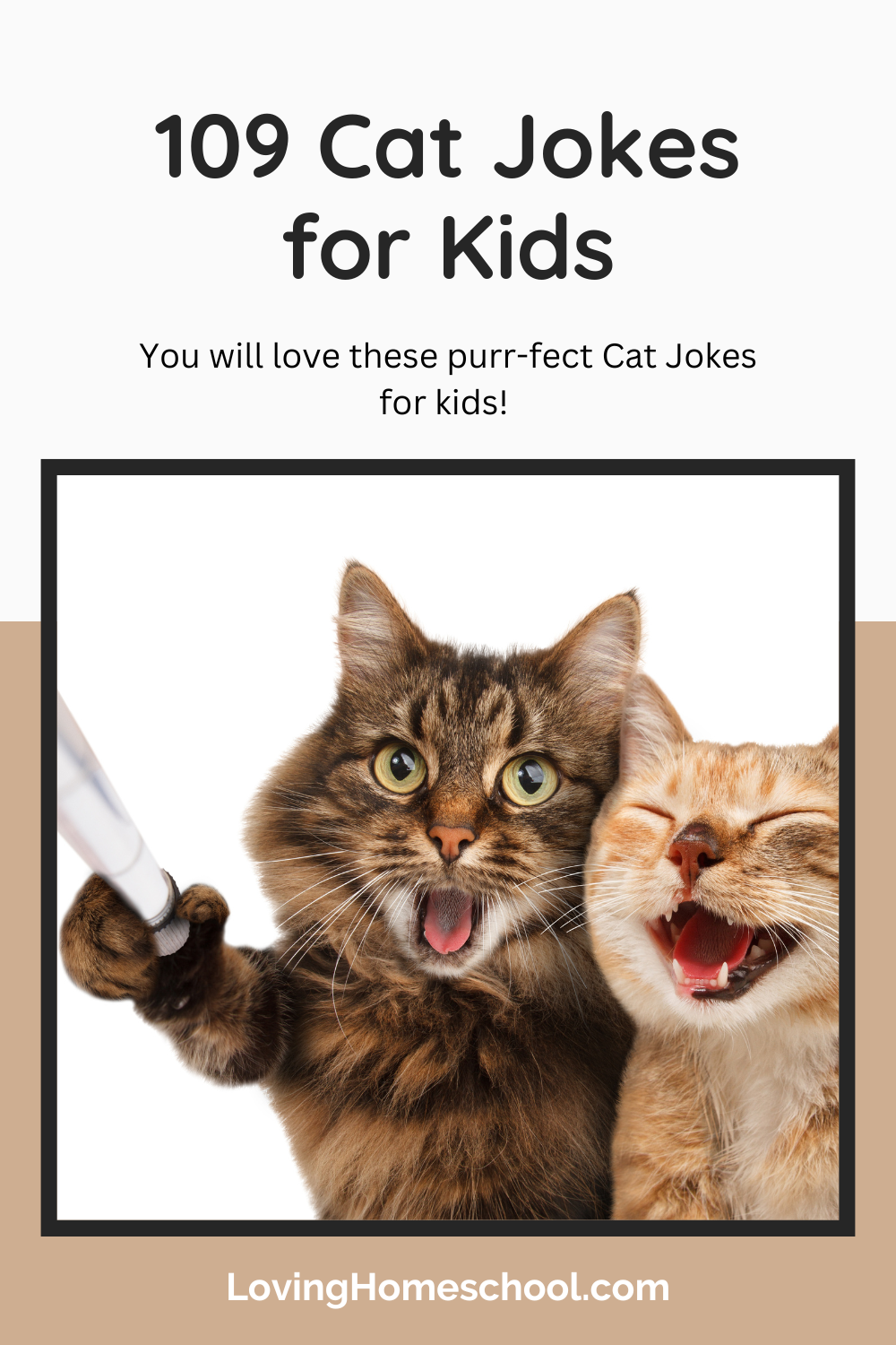Cat Jokes for Kids Pinterest Pin