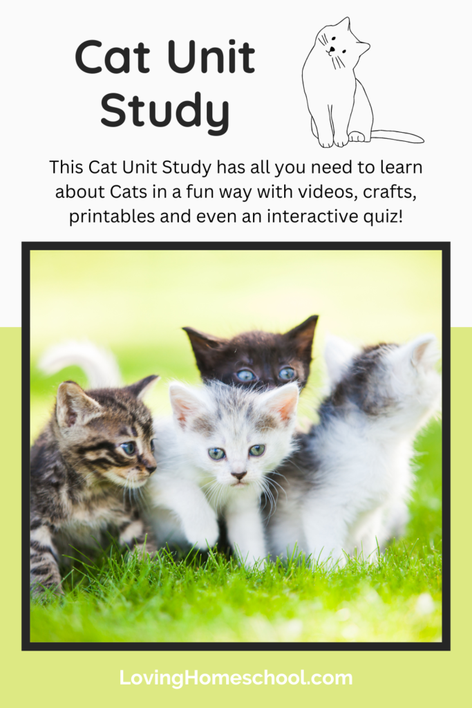 Cat Unit Study Pinterest Pin